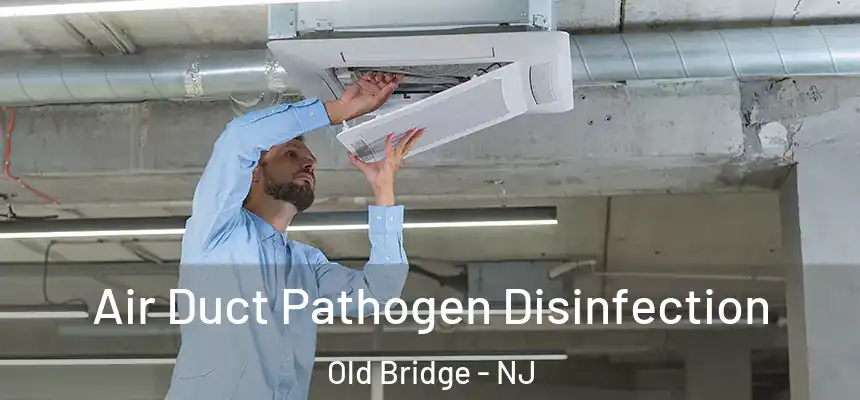 Air Duct Pathogen Disinfection Old Bridge - NJ
