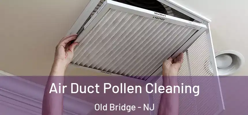  Air Duct Pollen Cleaning Old Bridge - NJ