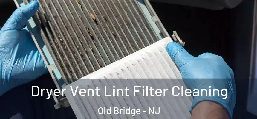  Dryer Vent Lint Filter Cleaning Old Bridge - NJ