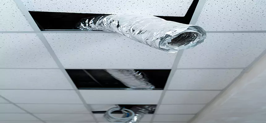 Our Air Duct Pet Hair Removal Services in Old Bridge, NJ