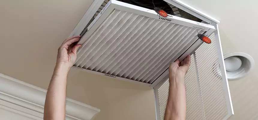 Our Insect Removal from Air Ducts Services in Old Bridge, NJ
