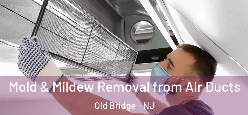  Mold & Mildew Removal from Air Ducts Old Bridge - NJ