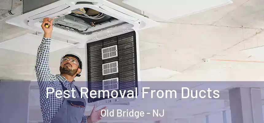  Pest Removal From Ducts Old Bridge - NJ