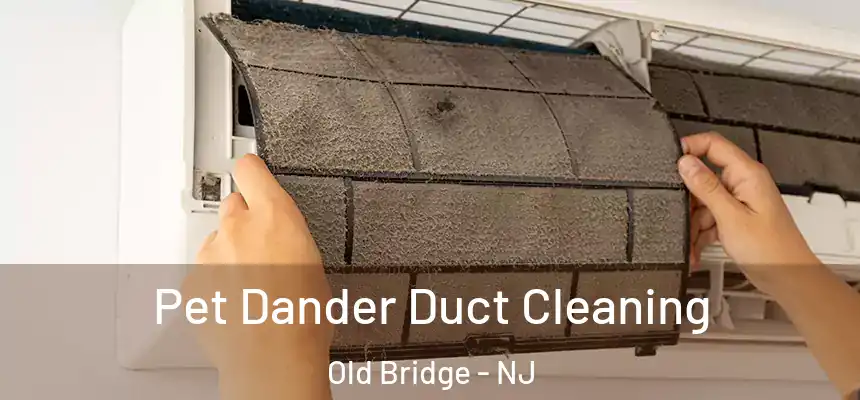  Pet Dander Duct Cleaning Old Bridge - NJ