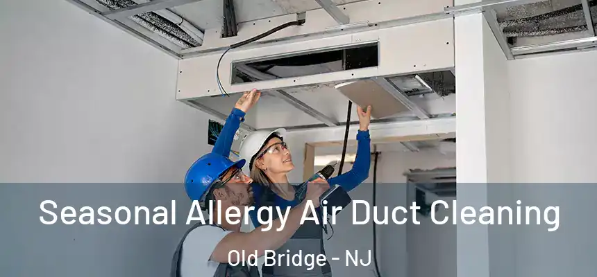  Seasonal Allergy Air Duct Cleaning Old Bridge - NJ