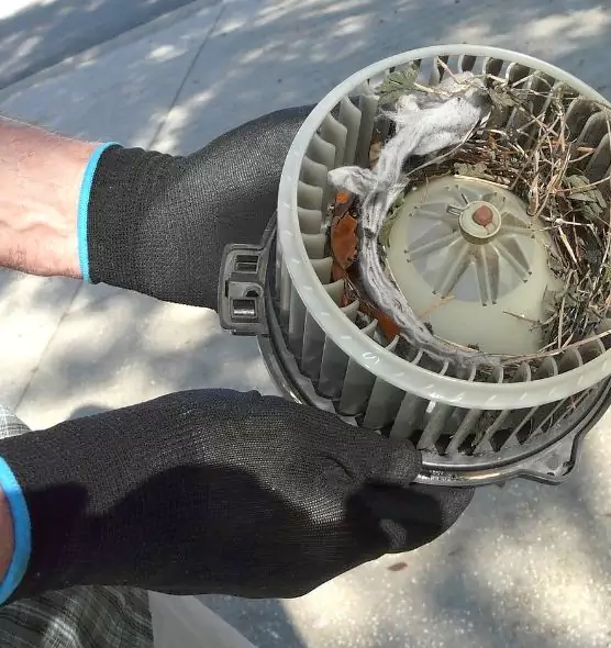 About Air Duct Rat Removal in Old Bridge, NJ