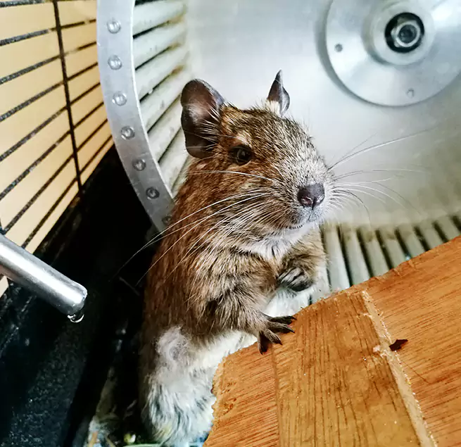 Why Homeowners & Businesses Trust Us Old Bridge, NJ?