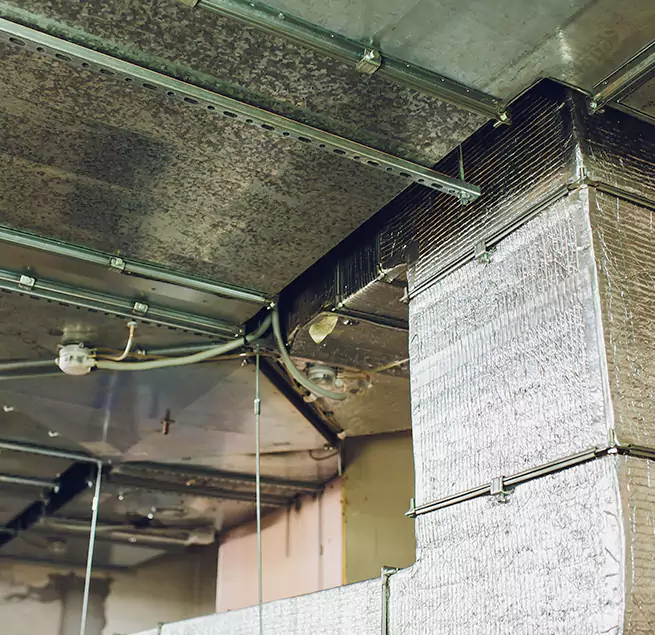 Why Homeowners & Businesses Trust Us in Old Bridge, NJ?